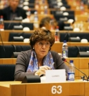 Ana Gomes participa em confer�ncia sobre a Indon�sia e no lan�amento de uma proposta para um Livro Branco sobre Seguran�a e Defesa
