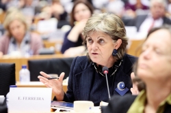 Deputada Elisa Ferreira na comissão dos Assuntos Económicos do PE, 20 de janeiro de 2014