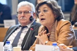 Ana Gomes Comissao PANA 09052017